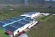 olivefactory