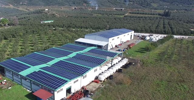 olivefactory
