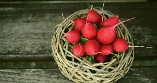 radishes