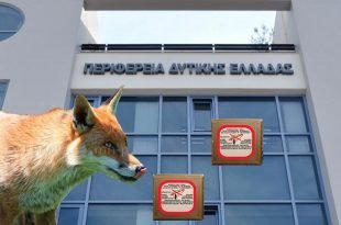 perif-dyt-ellados-fox