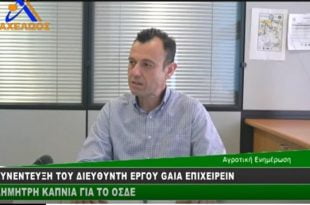 διευθυντής εργου ΟΣΔΕ Gaia Επιχειρείν