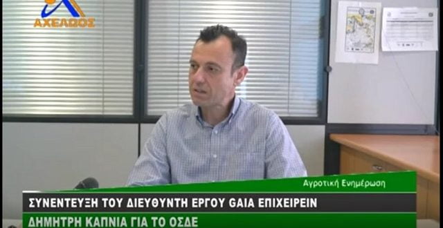 διευθυντής εργου ΟΣΔΕ Gaia Επιχειρείν